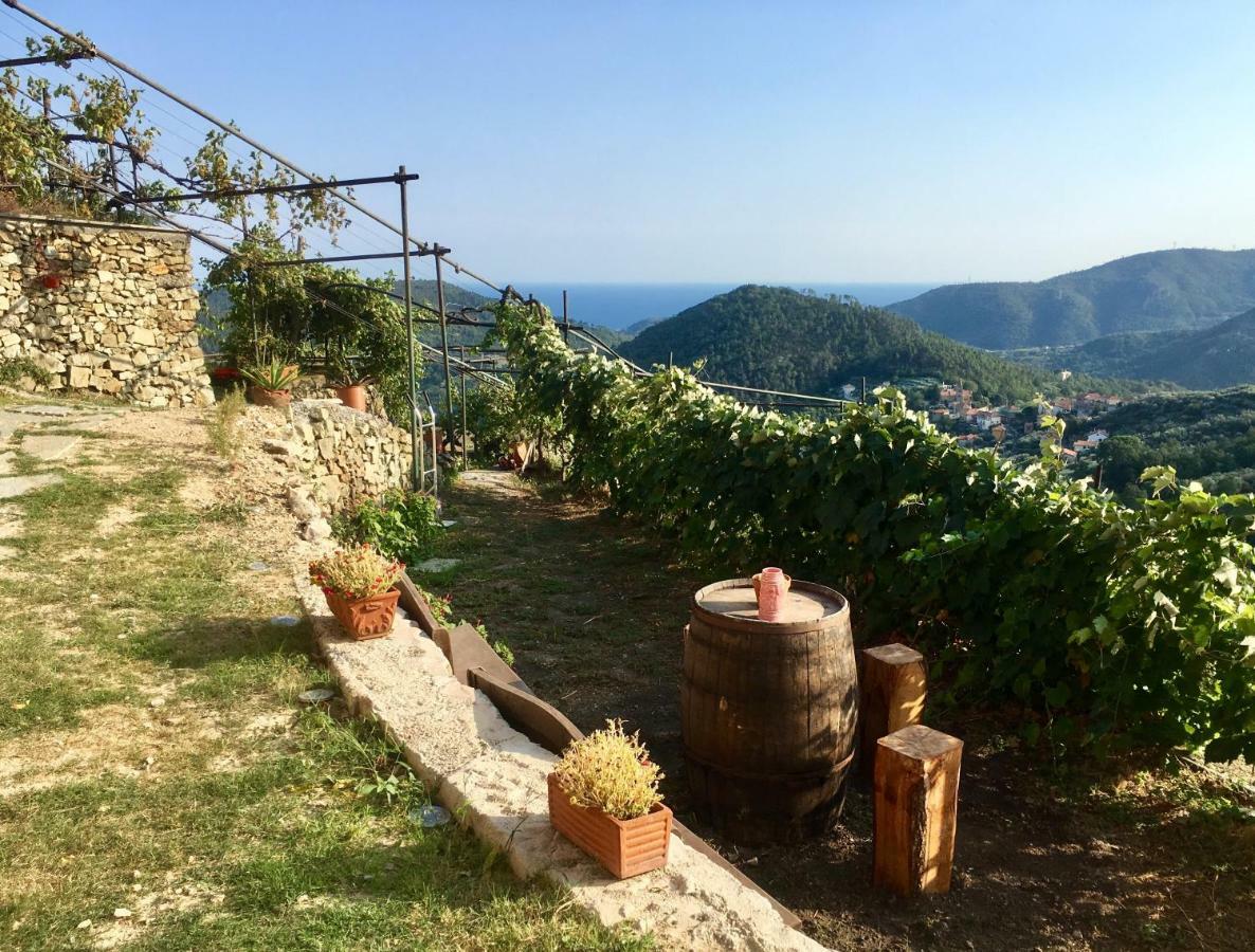 Agriturismo Lavalleggia Tovo San Giacomo Extérieur photo