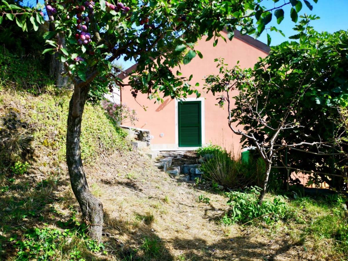 Agriturismo Lavalleggia Tovo San Giacomo Extérieur photo